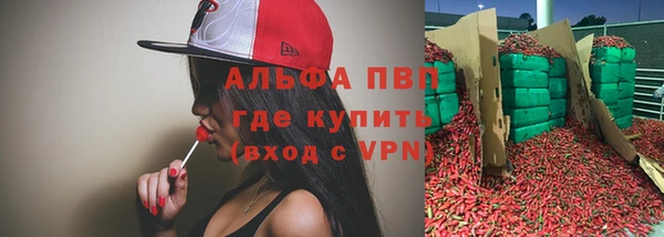 гашик Коряжма