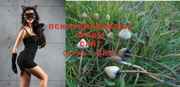 гашик Коряжма