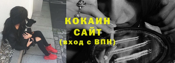 стафф Корсаков