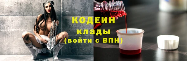 гашик Коряжма
