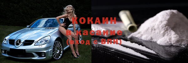 стафф Корсаков