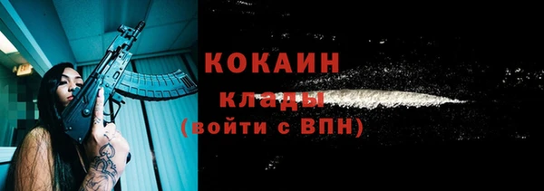 стафф Корсаков