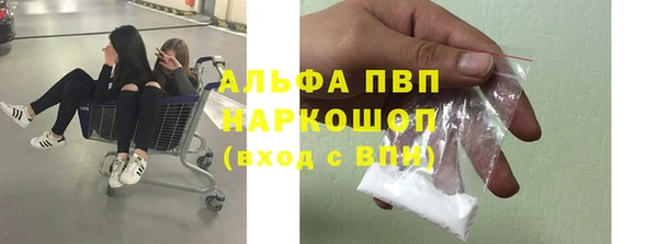 гашик Коряжма
