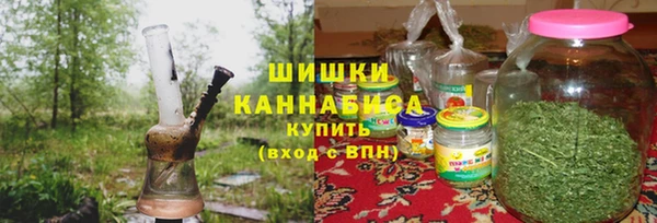 гашик Коряжма