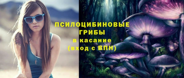 стафф Корсаков