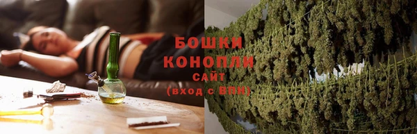 гашик Коряжма