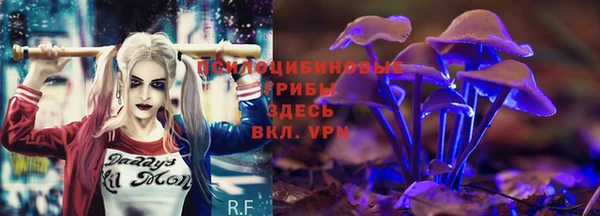 гашик Коряжма