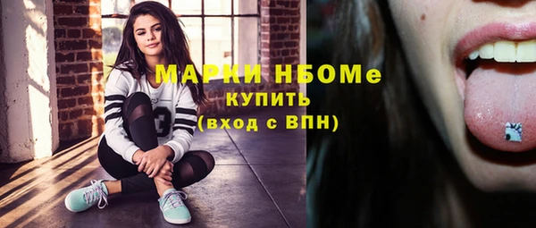 гашик Коряжма