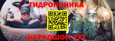 хмурый Заводоуковск