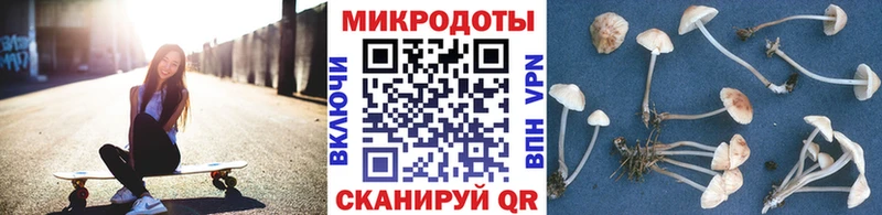 Галлюциногенные грибы Cubensis  Черняховск 